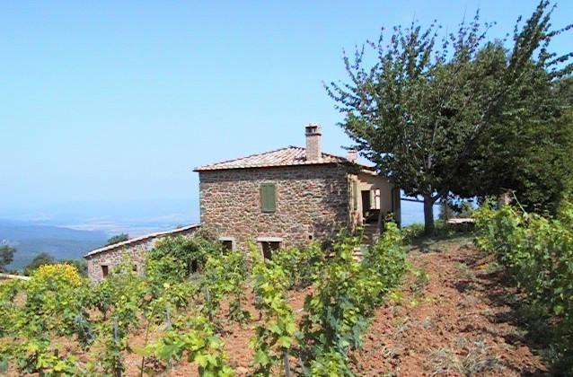 Podere Soccorso Montalcino Exteriör bild