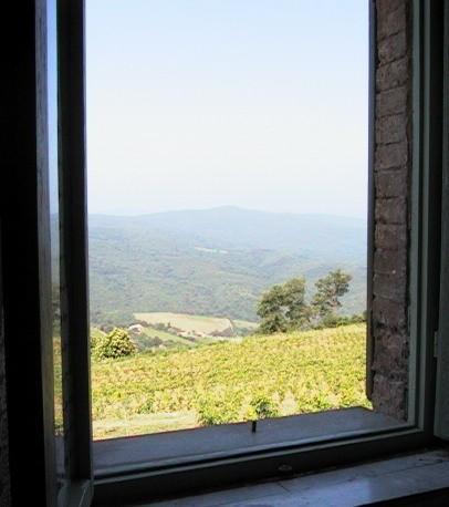 Podere Soccorso Montalcino Exteriör bild