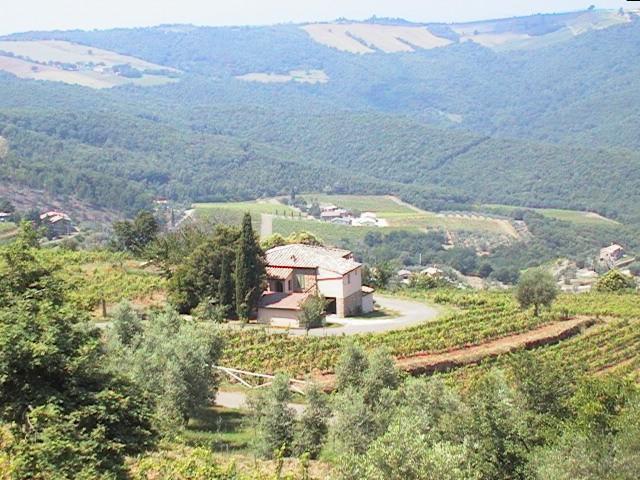 Podere Soccorso Montalcino Exteriör bild